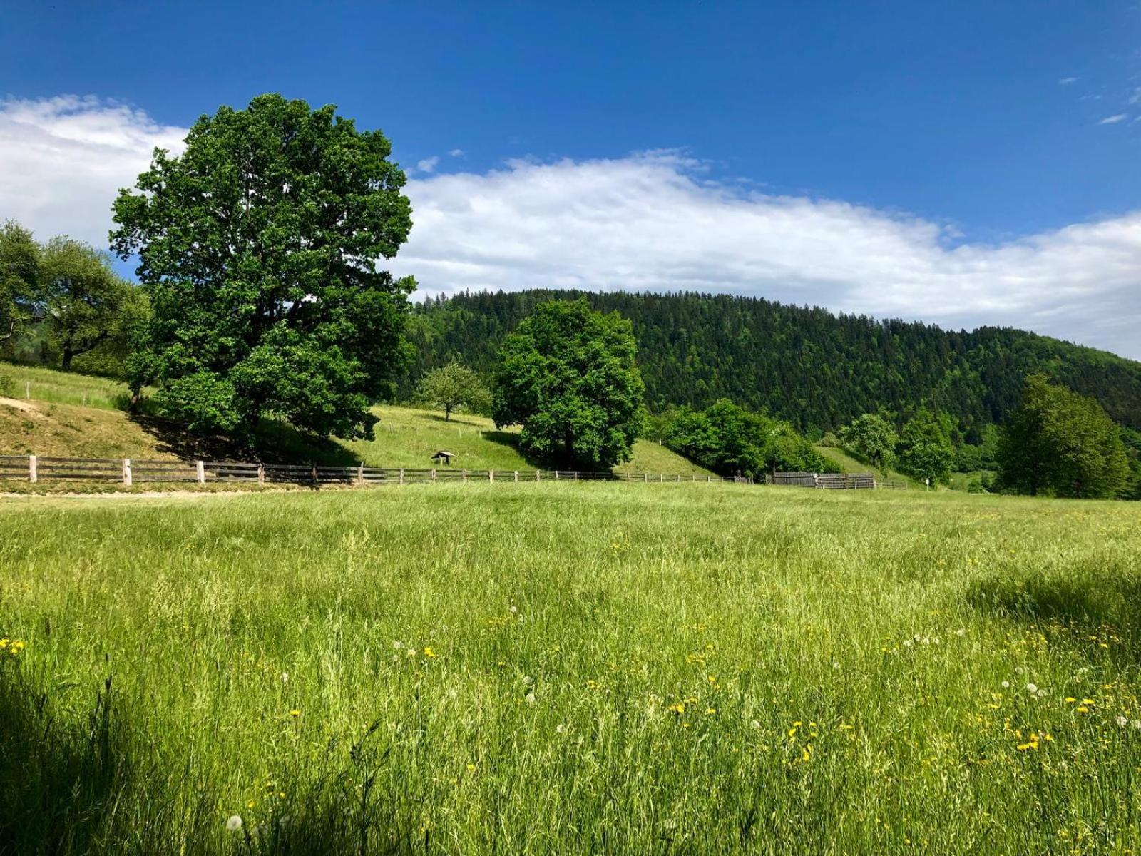 Hotel Glamping Savinja Ljubno Zewnętrze zdjęcie