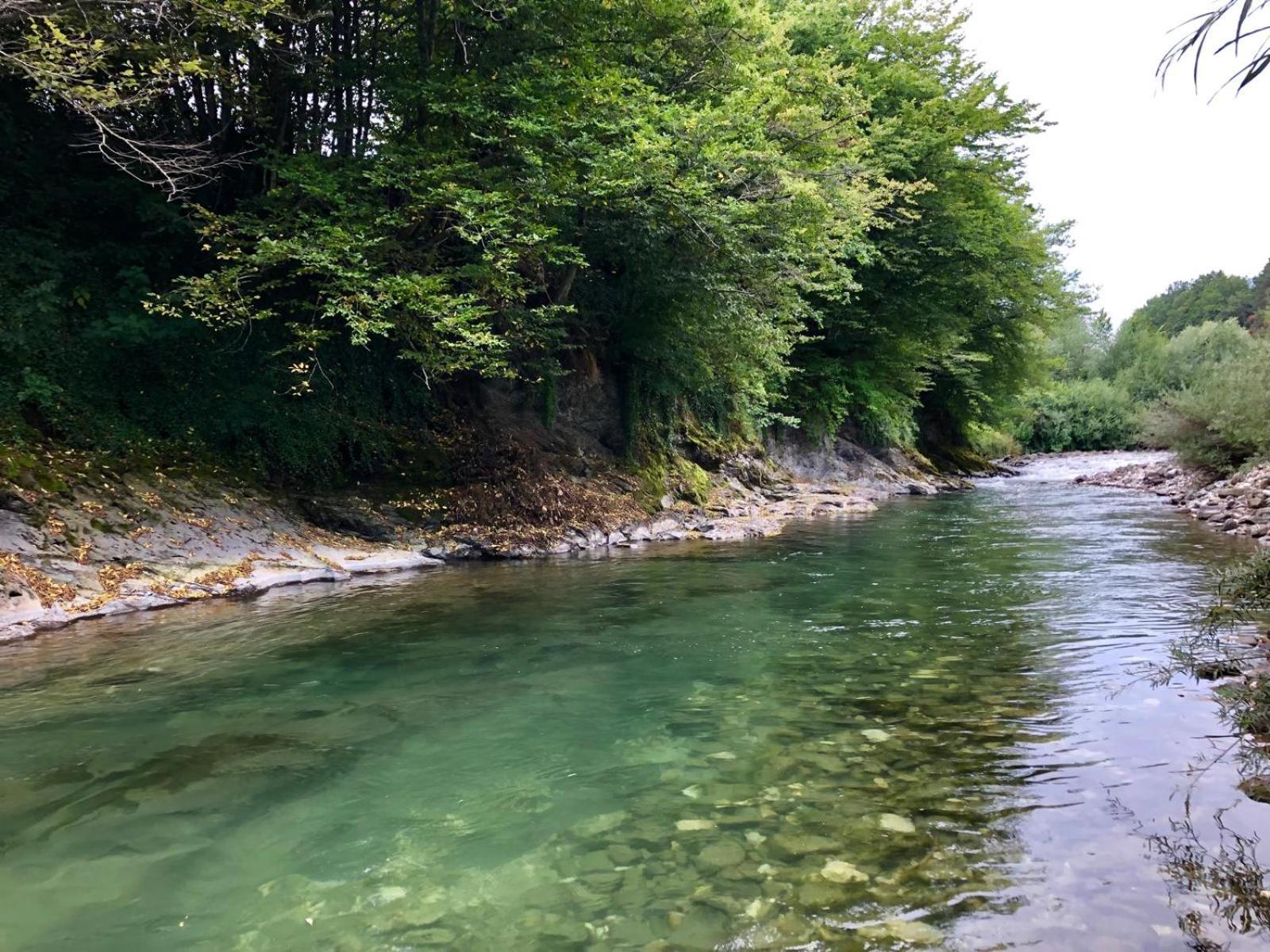 Hotel Glamping Savinja Ljubno Zewnętrze zdjęcie